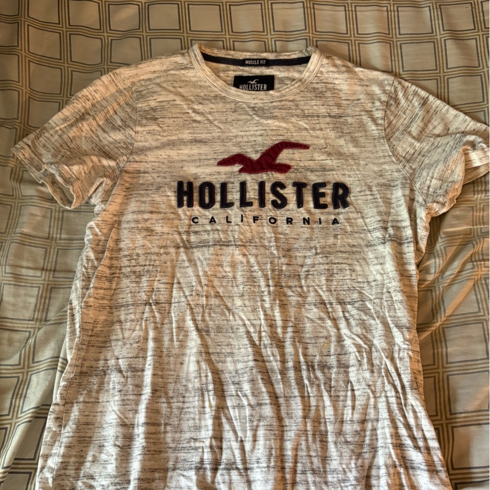 Hollister Gray Short Sleeve Tee Casual Comfort